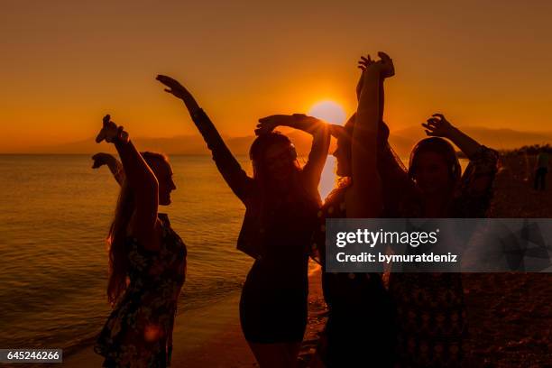 junge freunde tanzen am strand bei sonnenuntergang - strandparty stock-fotos und bilder