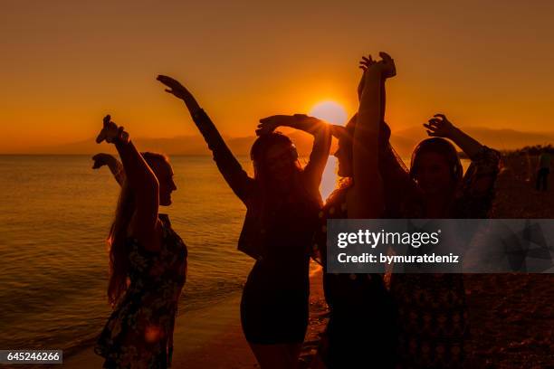 jonge vrienden dansen op het strand bij zonsondergang - beach party stockfoto's en -beelden