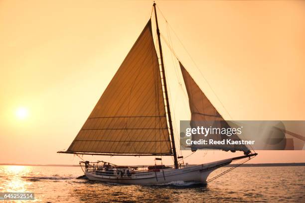 a chesapeake skipjack under sail in golden light - skipjack stock pictures, royalty-free photos & images