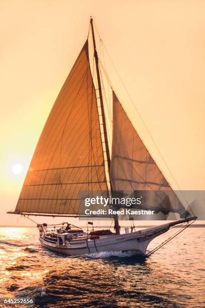 a chesapeake skipjack under sail in golden light - skipjack stock pictures, royalty-free photos & images