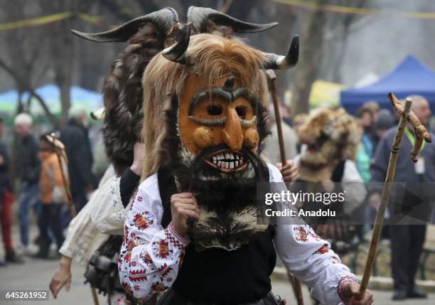 Participant, dressed in colorful hand-made costumes and wearing masks, attends Masquerade Festival 'Kukerlandia ' in Yambol town of Bulgaria on...