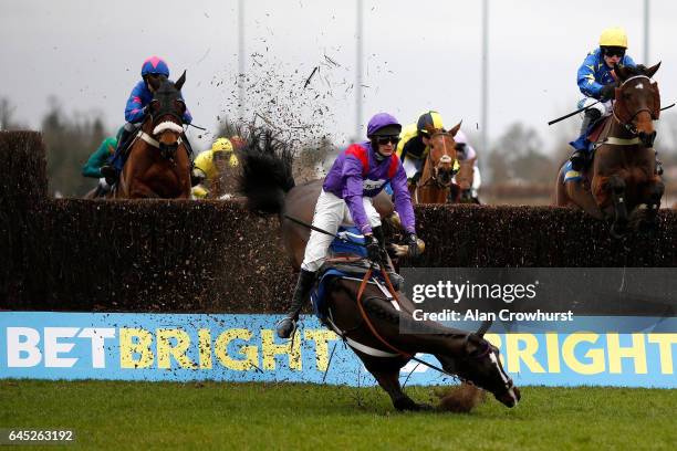 Nico de Boinville riding Cocktails At Dawn fall during The BetBright Handicap Steeple Chase at Kempton Park on February 25, 2017 in Sunbury, England.