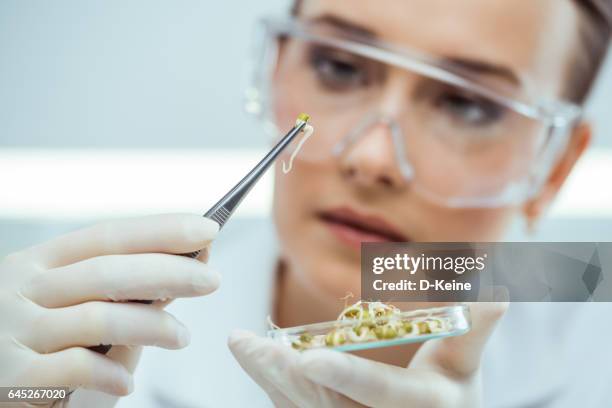 laboratory - tweezer stock pictures, royalty-free photos & images