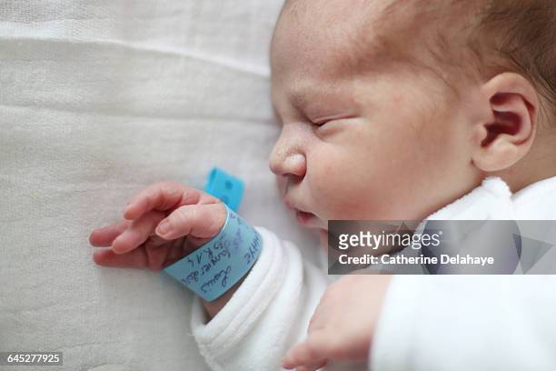 a new born sleeping at the maternity ward - hospital identification bracelet stock pictures, royalty-free photos & images