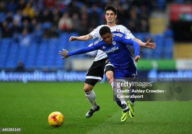 Cardiff City's Kadeem Harris is fouled by Fulham's Lucas Piazon during the Sky Bet Championship match between Cardiff City and Fulham at Cardiff City...