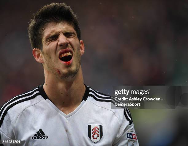 Fulham's Lucas Piazon is taken off after getting injured during the Sky Bet Championship match between Cardiff City and Fulham at Cardiff City...