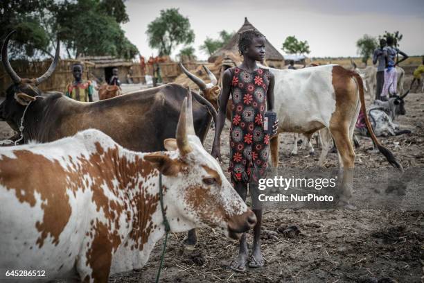 May 2015, Jonglei State, South Sudan. Cattle keeper. On 20 February 2017, the United Nations declared a famine in parts of former Unity State of...