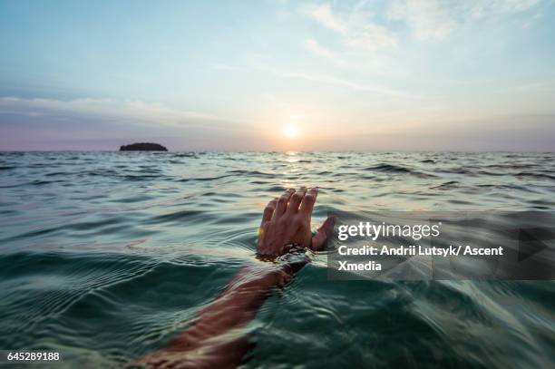 person's hand emerges from calm water, lagoon sunrise - sea swimming stockfoto's en -beelden