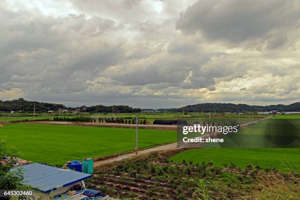 Brook Farm Rice 113 Great Brook Farm Stock Photos, High-Res Pictures, and Images ...