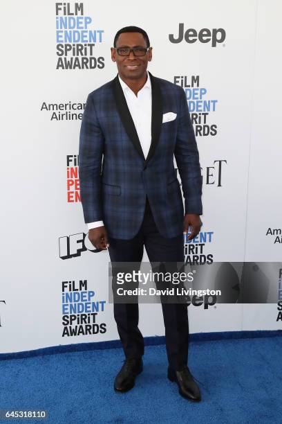 Actor David Harewood attends the 2017 Film Independent Spirit Awards on February 25, 2017 in Santa Monica, California.