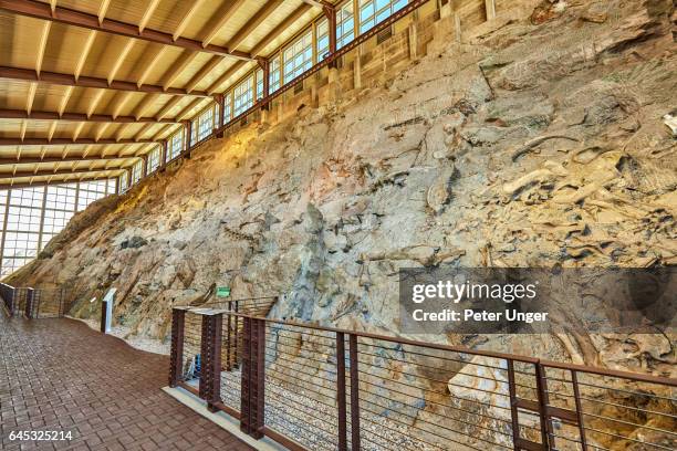 dinosaur national monument colorado/utah - dinosaur national monument stock pictures, royalty-free photos & images