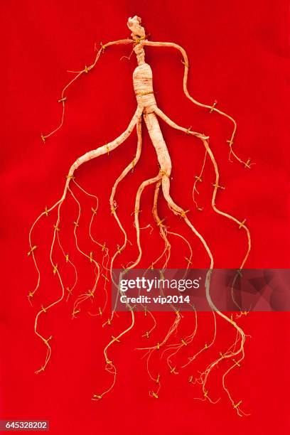 dry ginseng on red background (concept of traditional chinese medicine) - ginseng stock-fotos und bilder