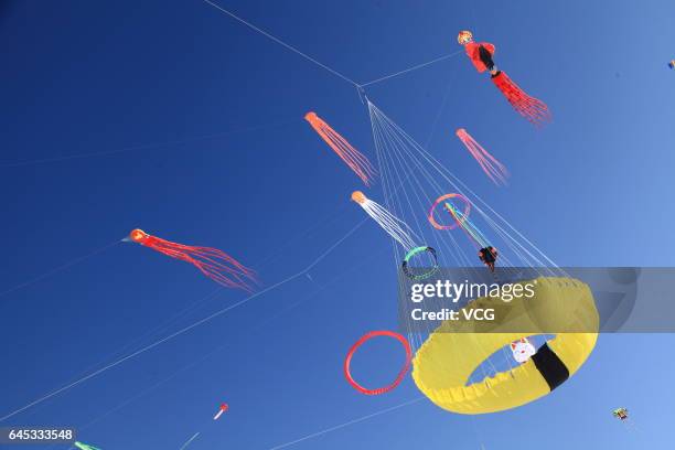 Kites fly in the sky during the second "Lianhuan Lake Cup" Kite Competition at Lianhuan Lake Hot Spring Resort of Duerbote County on February 25,...