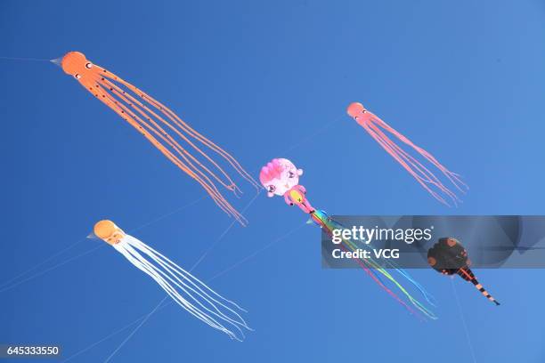 Kites fly in the sky during the second "Lianhuan Lake Cup" Kite Competition at Lianhuan Lake Hot Spring Resort of Duerbote County on February 25,...