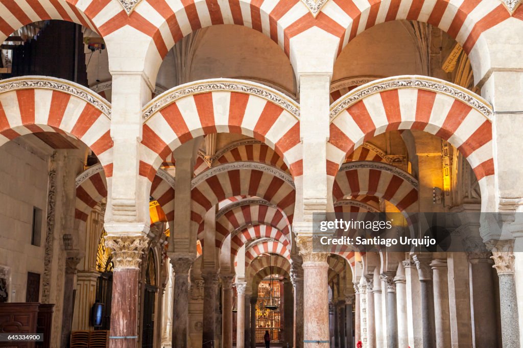 Columns of the Mosque-Cathedral of Córdoba