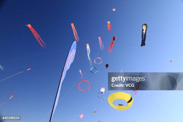 Kites fly in the sky during the second "Lianhuan Lake Cup" Kite Competition at Lianhuan Lake Hot Spring Resort of Duerbote County on February 25,...