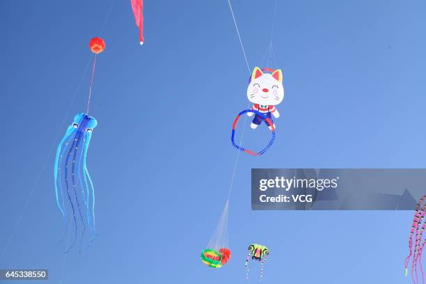 Kites fly in the sky during the second "Lianhuan Lake Cup" Kite Competition at Lianhuan Lake Hot Spring Resort of Duerbote County on February 25,...