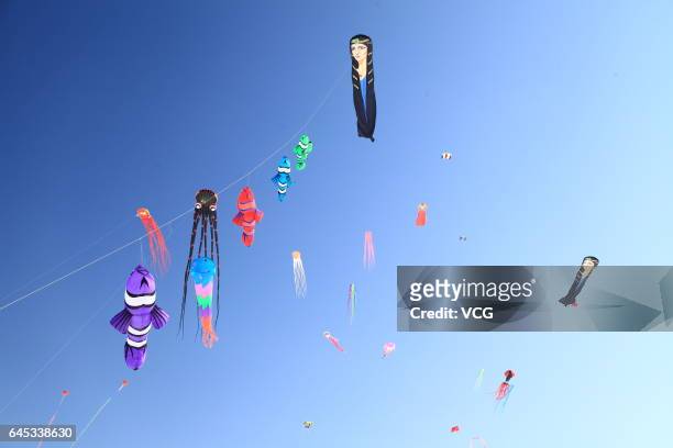 Kites fly in the sky during the second "Lianhuan Lake Cup" Kite Competition at Lianhuan Lake Hot Spring Resort of Duerbote County on February 25,...