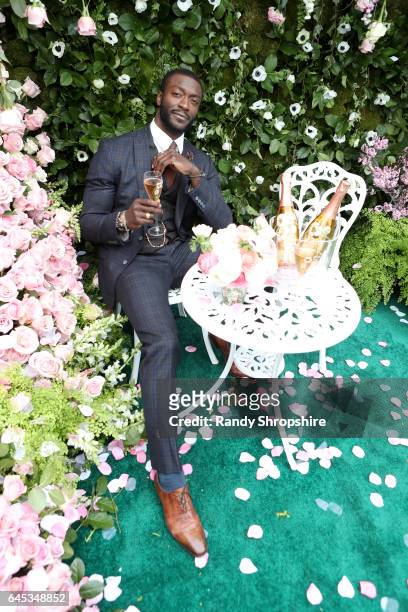 Actor Aldis Hodge attends the 2017 Film Independent Spirit Awards sponsored by Perrier-Jouet on February 25, 2017 in Santa Monica, California.