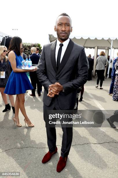 Actor Mahershala Ali attends the 32nd Annual Film Independent Spirit Awards sponsored by FIJI Water at Santa Monica Pier on February 25, 2017 in...