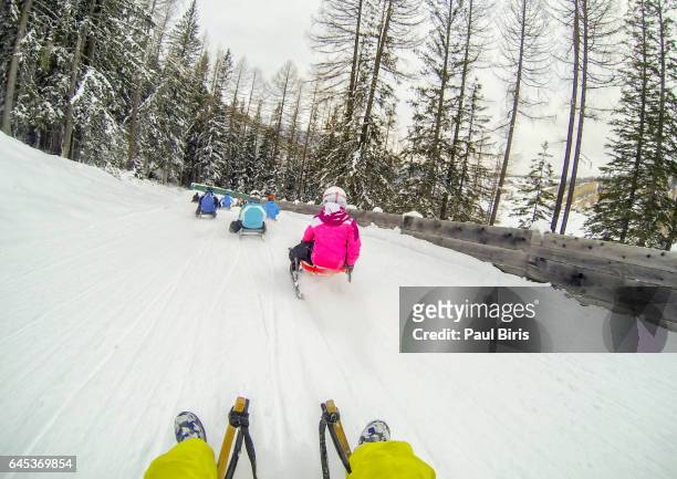 sledge riding,  alta badia, dolomites , northern italy - alta badia - fotografias e filmes do acervo