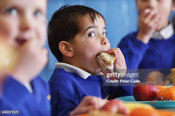 school boy eating sandwich - cafeteria photos et images de collection