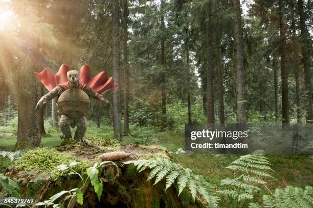 superhero turtle landing in a forest - cape verde fotografías e imágenes de stock