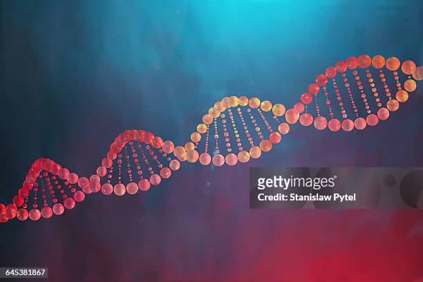 colorful dna helix - gen stock-fotos und bilder