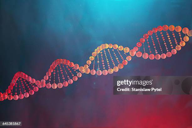 colorful dna helix - base stockfoto's en -beelden