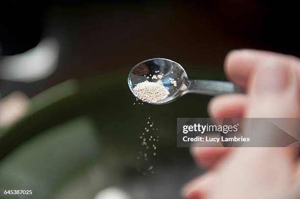 making bread, adding yeast - hefe stock-fotos und bilder