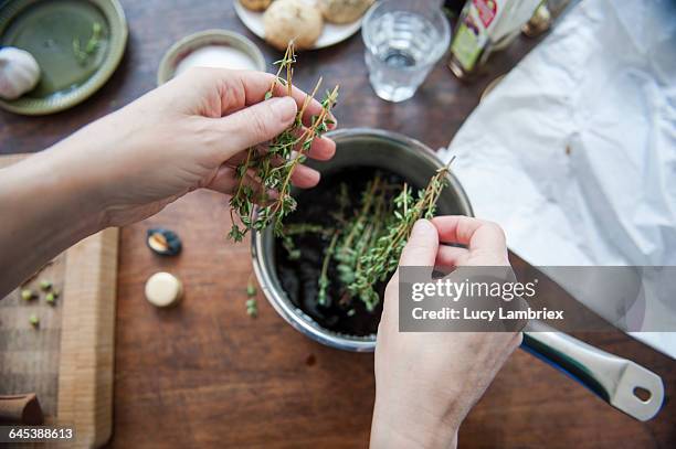 adding thyme to a cooking pot - würzen stock-fotos und bilder