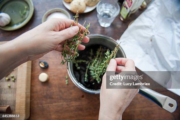 adding thyme to a cooking pot - 植物 タイム ストックフォトと画像