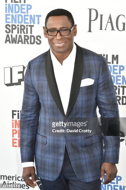 David Harewood attends the 2017 Film Independent Spirit Awards Arrivals on February 25, 2017 in Santa Monica, California.