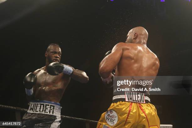 World Heavyweight Champion Deontay Wilder fights Gerald Washington at Legacy Arena at the BJCC on February 25, 2017 in Birmingham, Alabama.