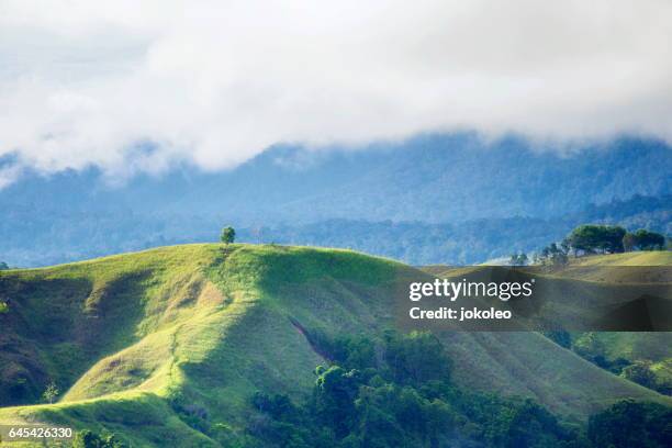 sentani hill - gulf shores - fotografias e filmes do acervo