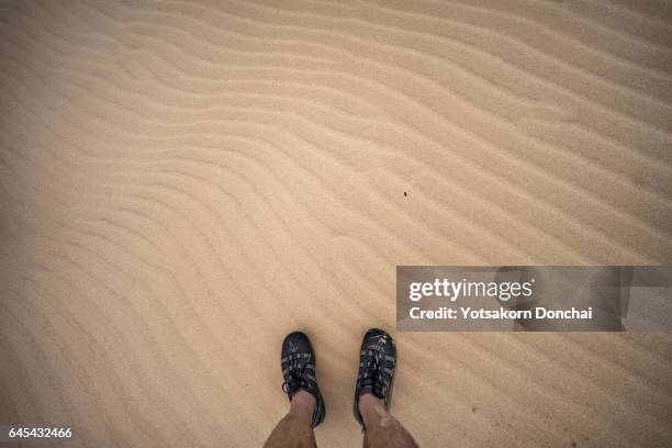 step on sand dunes in newcastle, nsw - camping new south wales stock pictures, royalty-free photos & images