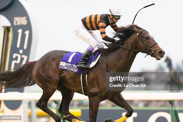 Kitasan Black wins 36th Japan Cup (G1 2400m) at Tokyo Racecourse, Japan Kitasan Black wins 36th Japan Cup (G1 2400m) at Tokyo Racecourse, Japan