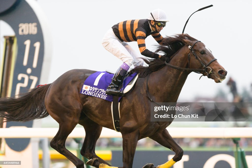 Kitasan Black wins 36th Japan Cup (G1 2400m) at Tokyo Racecourse, Japan