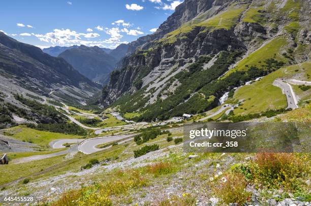passo dello stelvio / stilfser joch - stelvio stock pictures, royalty-free photos & images