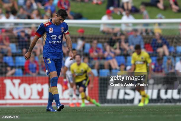 Jason Hoffman of the Jets looks dejected during the round 21 A-League match between the Newcastle Jets and the Central Coast Mariners at McDonald...