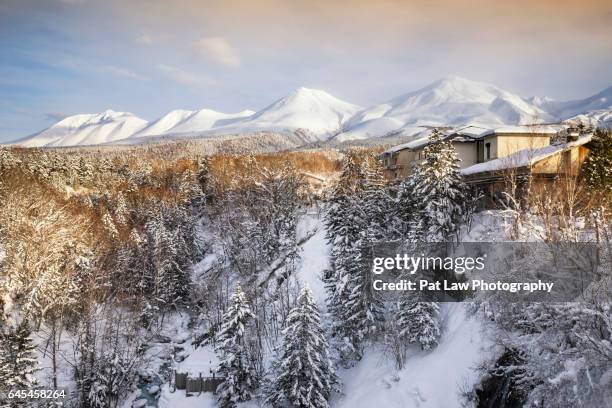 winter breaks - festival da neve imagens e fotografias de stock