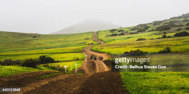 people wlking on hiking trails at wildwood regional park on a foggy day - thousand oaks stock pictures, royalty-free photos & images