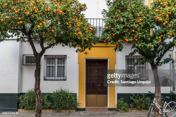 santa cruz neighborhood in seville - seville stock pictures, royalty-free photos & images