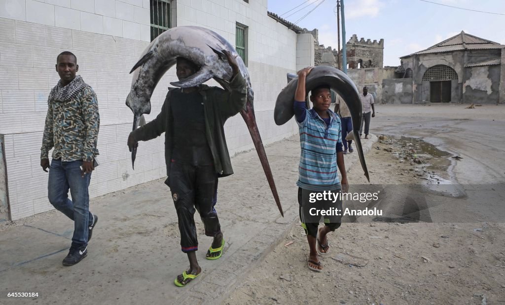 Fishery in Somalia