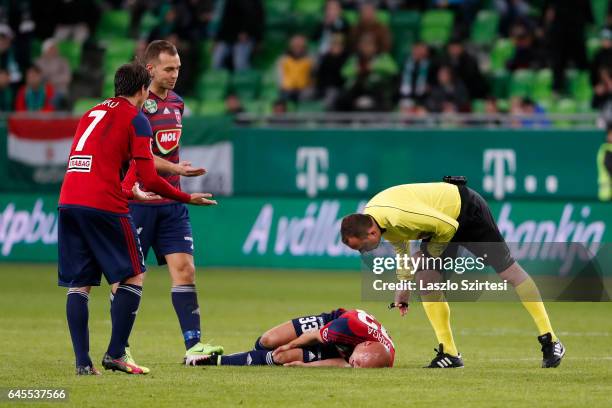 Referee Zsolt Szabo asks the injured Jozsef Varga of Videoton FC next to Danko Lazovic of Videoton FC and Roland Juhasz of Videoton FC during the...