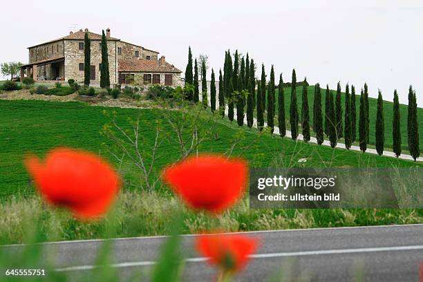 Haus mit Zypressen in der Toscana. Aufgenommen April/Mai 2005.