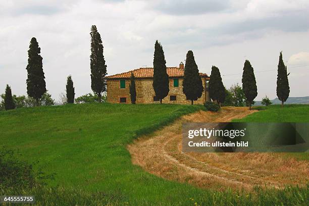 Haus mit Zypressen in der Toscana. Aufgenommen April/Mai 2005.