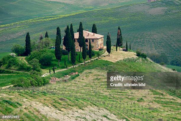 Haus mit Zypressen in der Toscana. Aufgenommen April/Mai 2005.