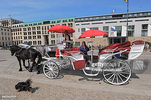 Droschkenkutscher , Weisse Pferdekutsche, Gespann mit Sonnenschirm, auf dem Pariser Platz in Warteposition vor dem BRANDENBURGER TOR, Wenn nicht...
