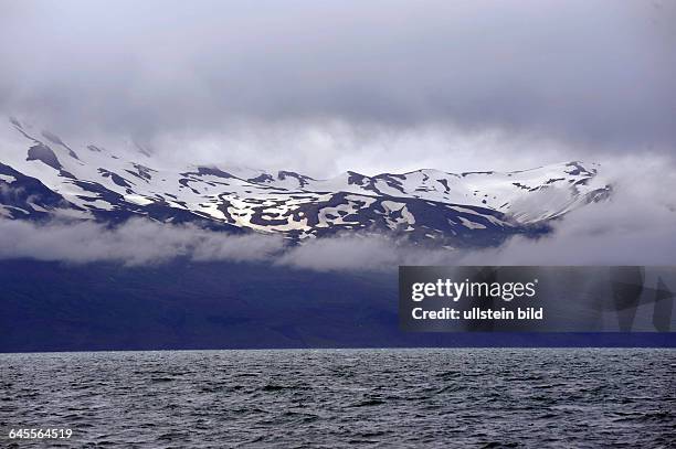 Küstenlandschaft der Halbinsel Flateyjardalsheidi bei Husavik - Island